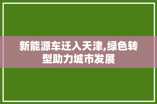 新能源车迁入天津,绿色转型助力城市发展